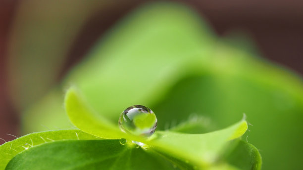 自然背景图片下载