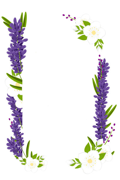 薰衣草,茉莉花素材图片