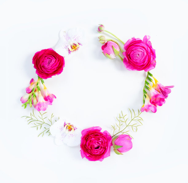 鲜花平铺构成图片下载