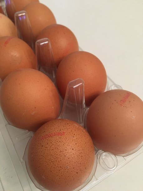 黄色的鸡蛋图片下载