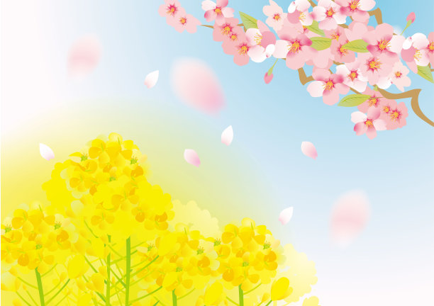 日本油菜花和樱花树插画(新生命支持展)图片下载