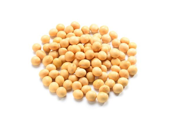 干黄豆。图片下载