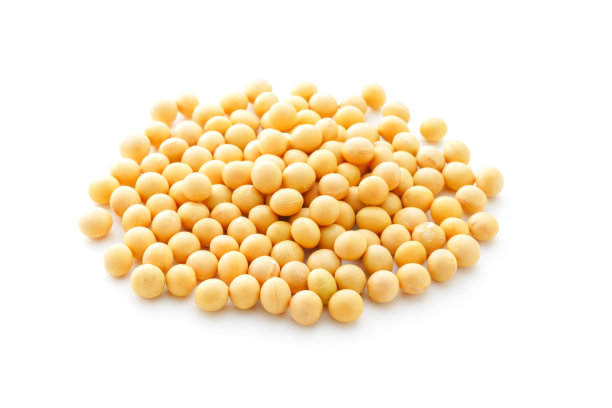 干黄豆。图片下载