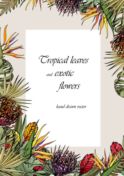 卡片模板与丰富多彩的异国情调的花朵和热带树叶。图片下载