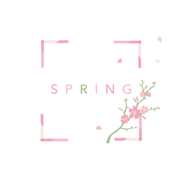 樱花框架插图，矢量背景素材图片