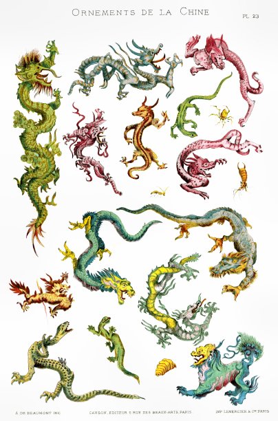 用于装饰瓷、布等的龙，源自中国装饰品1883年图片下载