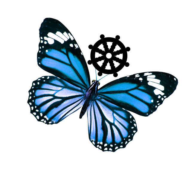 热带蓝蝴蝶。在白色背景上隔离图片下载