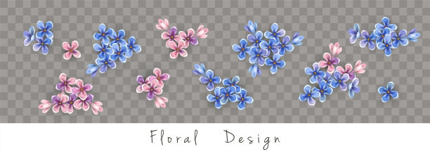 向量花集图片下载