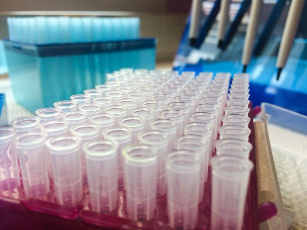 实验室桌上的塑料头图片下载