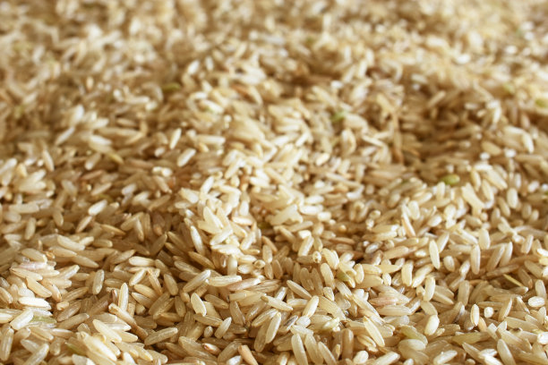 长粒大米特写图片下载
