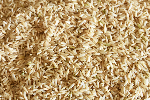 长粒大米特写图片下载