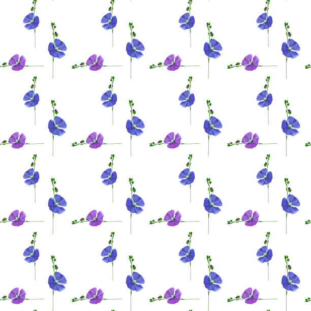 亚麻。花型纹理无缝。花背景，照片拼贴图片下载