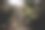木台阶通向一个秘密花园的大门图片下载