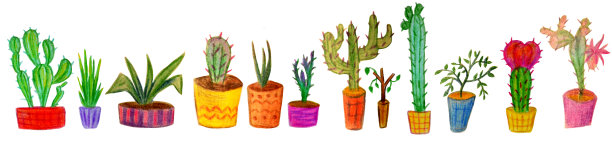 室内植物，花盆里的花，白色背景上孤立的仙人掌。图片下载