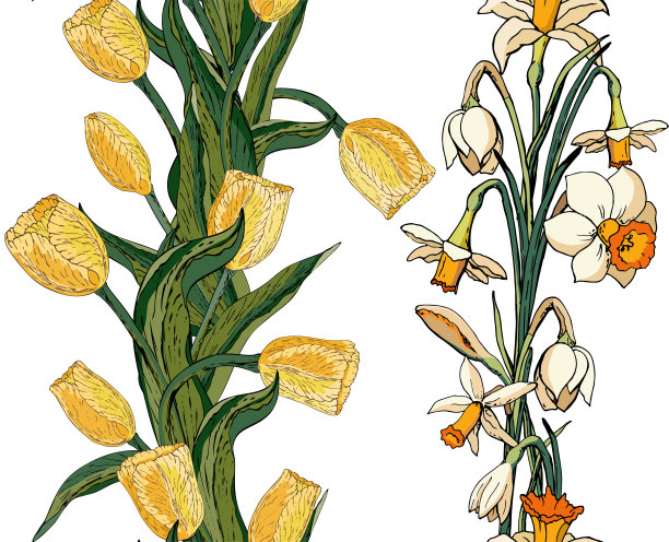 载体花无缝模式与黄色郁金香和水仙花(水仙)。图片下载