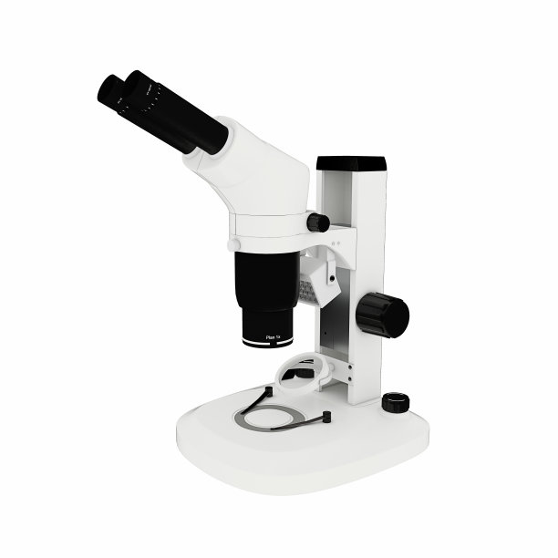 显微镜图片下载