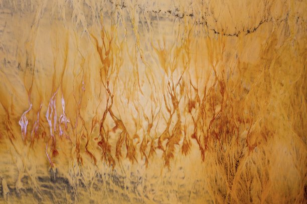 地球的脉络图片下载