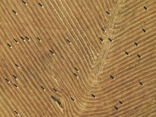 田间的干草包图片下载