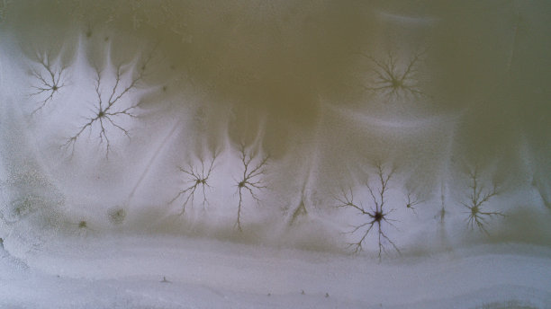 鸟瞰图的冬季景观冰冻湖泊与美丽的裂缝，树木形成图片下载