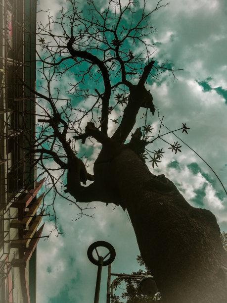 一些非自然的低角度图片下载