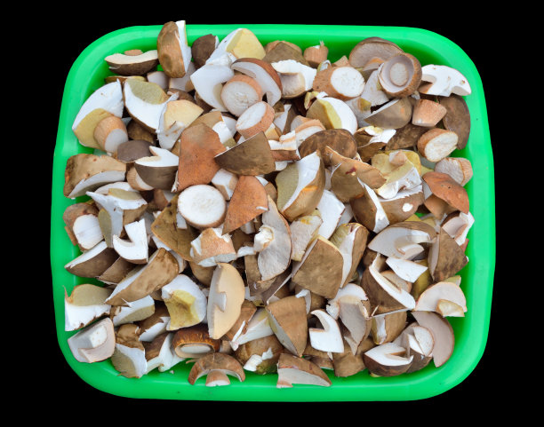 蘑菇片Cep 15图片下载