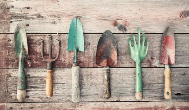 在古老的乡村木材背景上的园艺工具图片下载