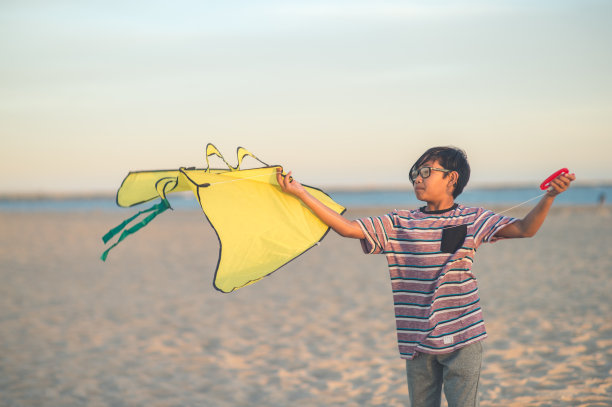 一个男孩在海滩上拿着风筝图片下载