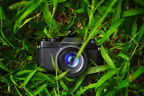 复古单镜头反射专业胶片相机户外草地图片下载