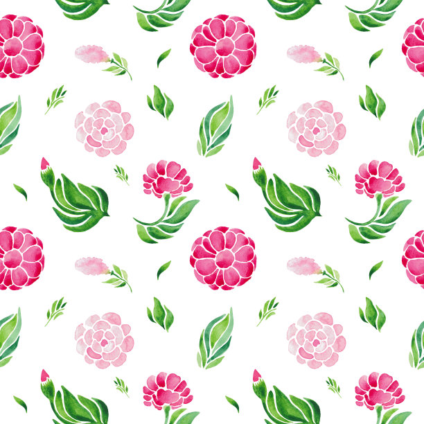 花卉水彩插图图案。一套红花绿叶，白底。图片下载