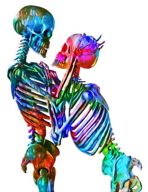 抽象风格的情侣骷髅插画（白底）图片下载
