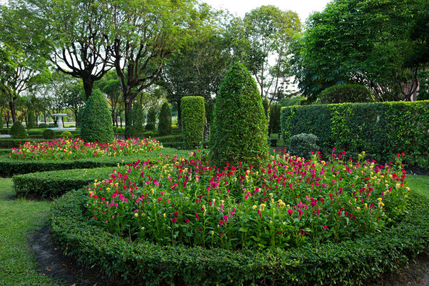 公园里的垂直绿化图片下载