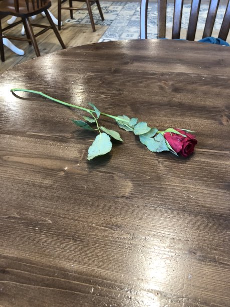 女人一天图片下载