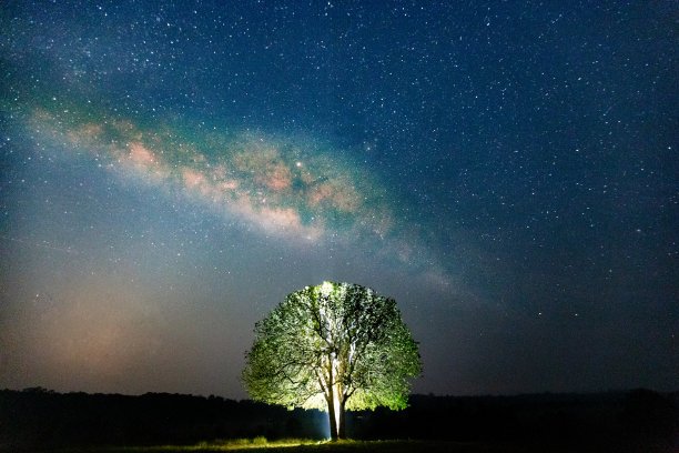 树木对着星空与银河长曝光与纹理照片图片下载