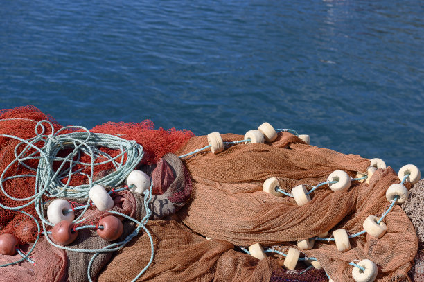 塔扎科特港的渔网图片下载