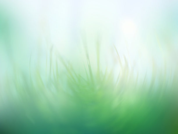 绿草——朦胧梦幻的心情图片下载