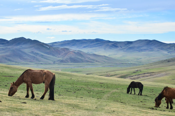 蒙古游牧民族乡村图片下载