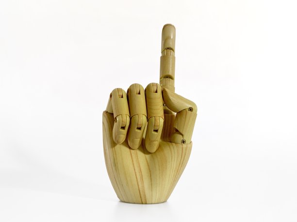 美国手语字母D图片下载