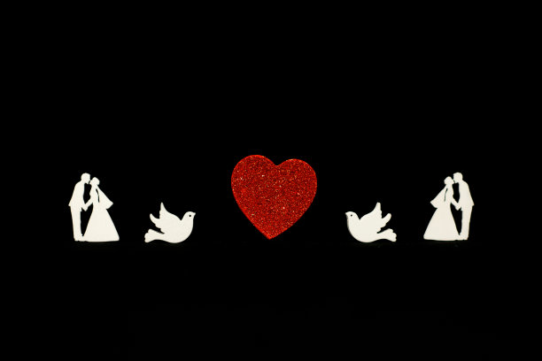 新婚夫妇的剪影图片下载