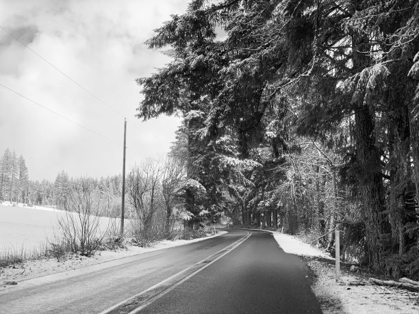 去银瀑布州立公园的路图片下载