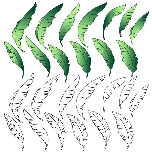 热带植物插画素材图片下载