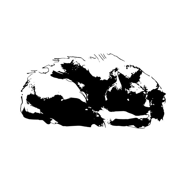 矢量图形-睡觉的猫，黑色轮廓在白色的背景。图片下载