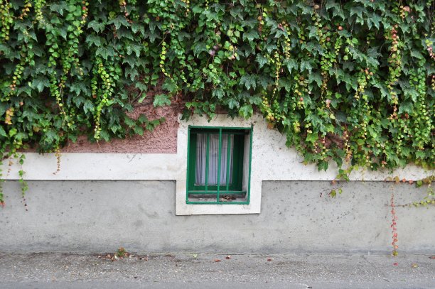 吉尔维尼一所临街房屋的小窗户图片下载