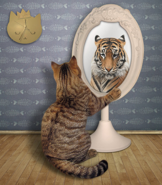 凯特看着自己的倒影图片下载