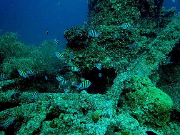 人工礁图片下载