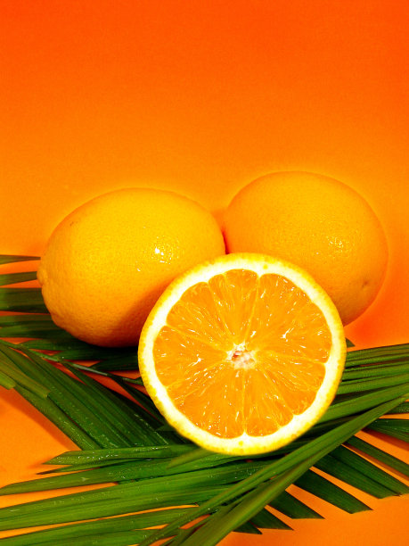 橙色的底部和叶子图片下载