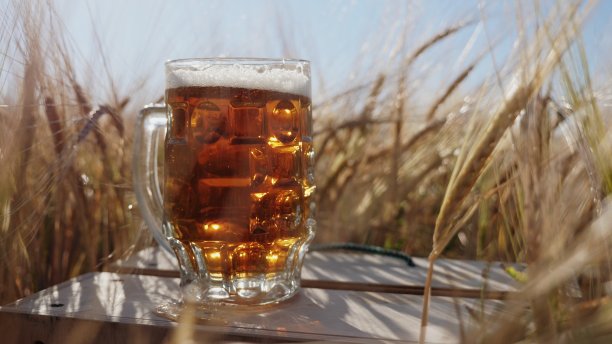 田野里的一个木箱子上放着一杯冰啤酒图片下载