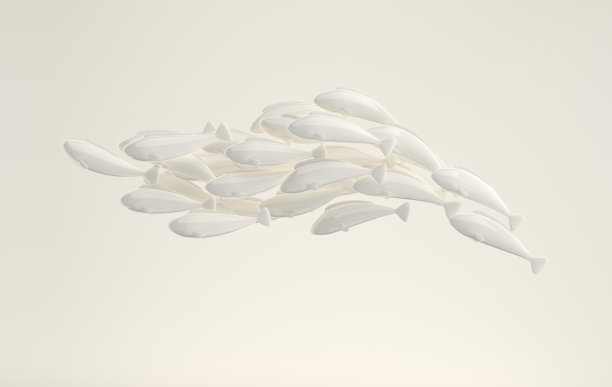 一群鱼在它的领导者后面游泳。3 d渲染。海洋生物图片下载