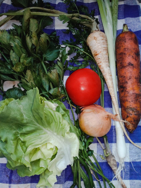 蔬菜特写。图片下载
