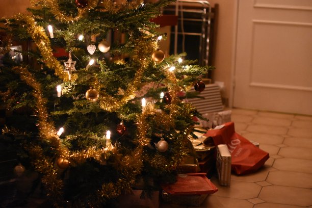 圣诞树图片下载