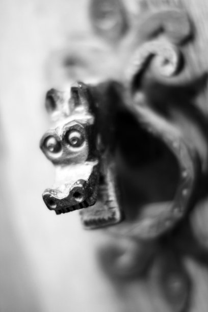 带龙的门把手图片下载